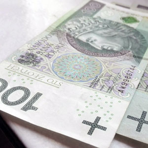 Ile kosztuje alert bezpieczeństwa w BIK, czyszczenie BIK - cena dostępna w artykule czyszczenie bik cena